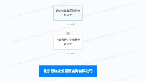 信息系统集成服务 构建数字化未来的核心引擎