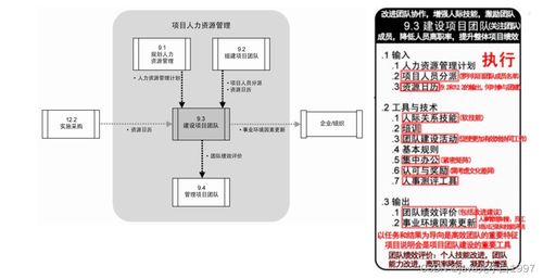 信息系统集成服务中的项目人力资源管理