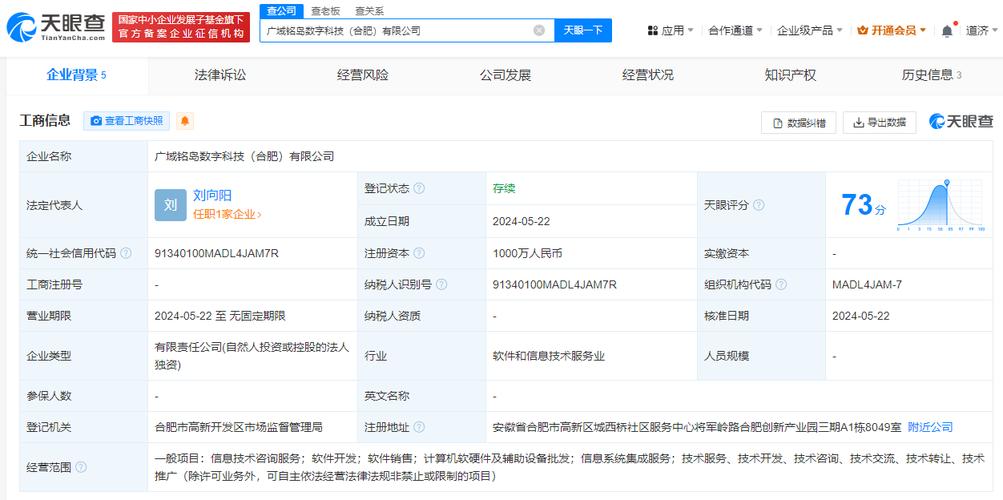 代表人为刘向阳,注册资本1000万人民币,经营范围含信息技术咨询服务